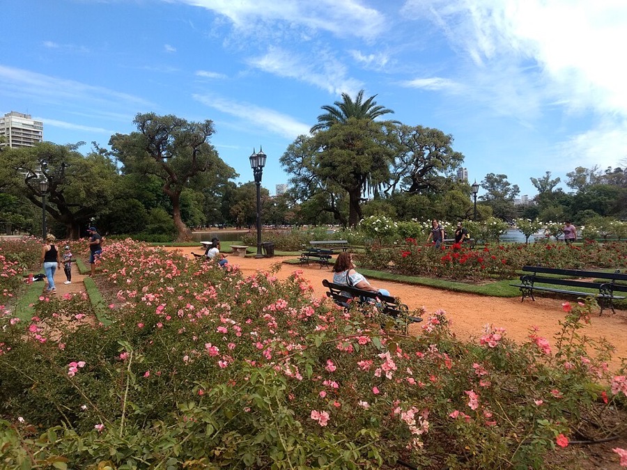 Palermo Parks & Rosedal