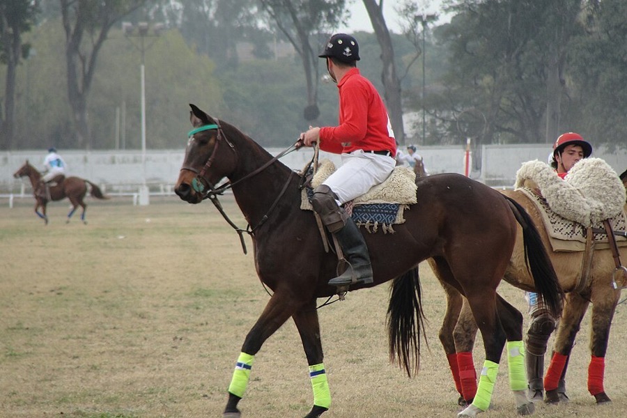 Estancia La Bamba de Areco