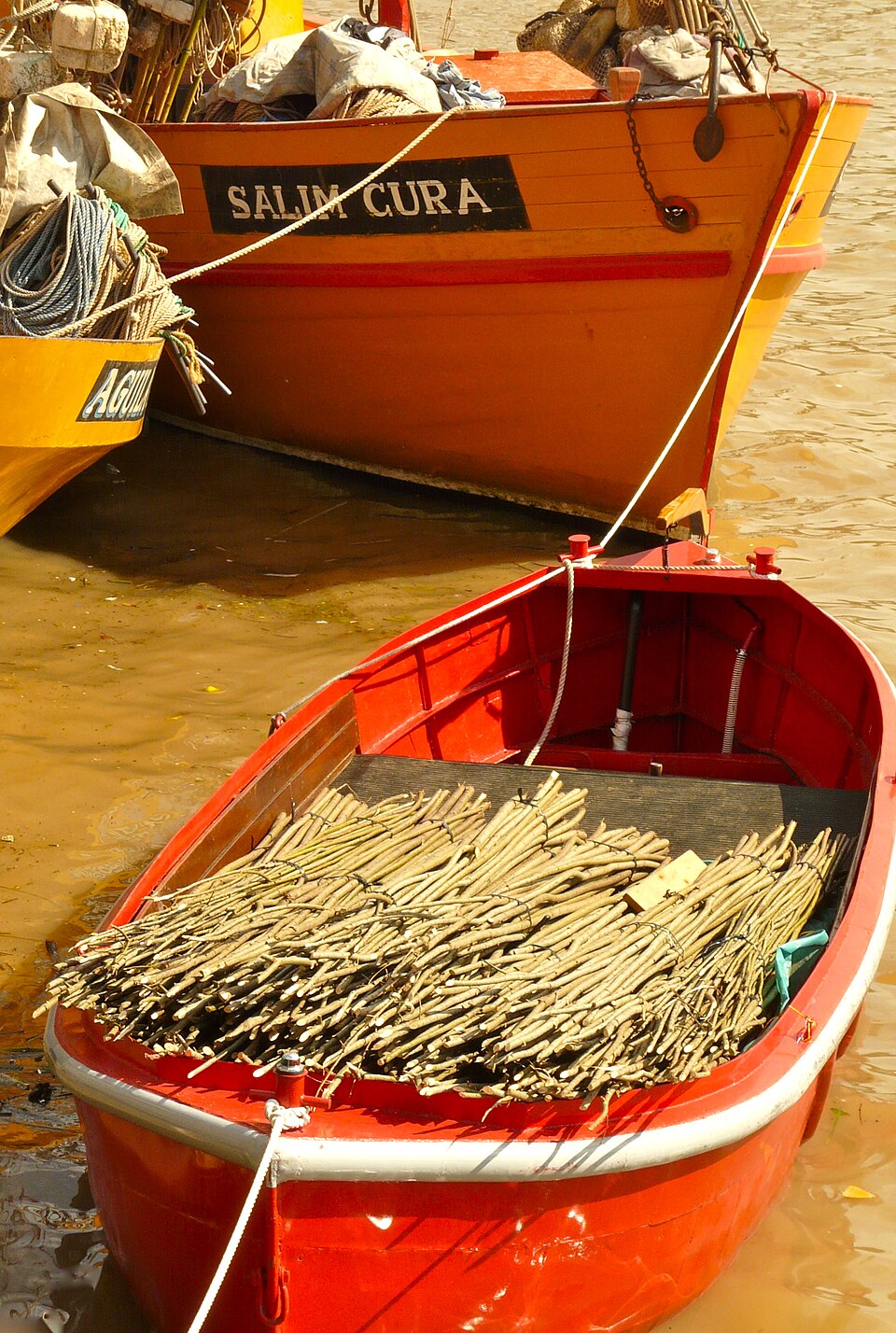 Puerto de Frutos (Tigre)