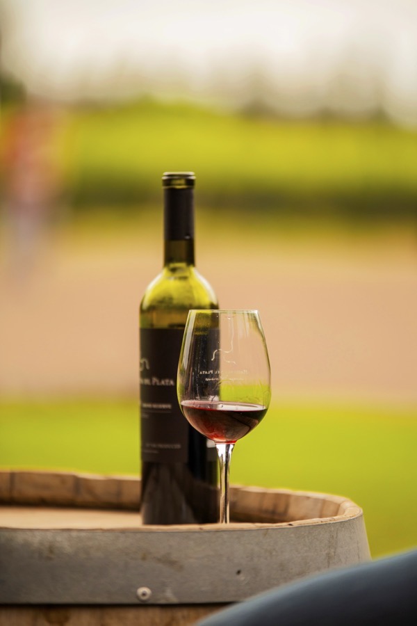 Vico Wine Bar