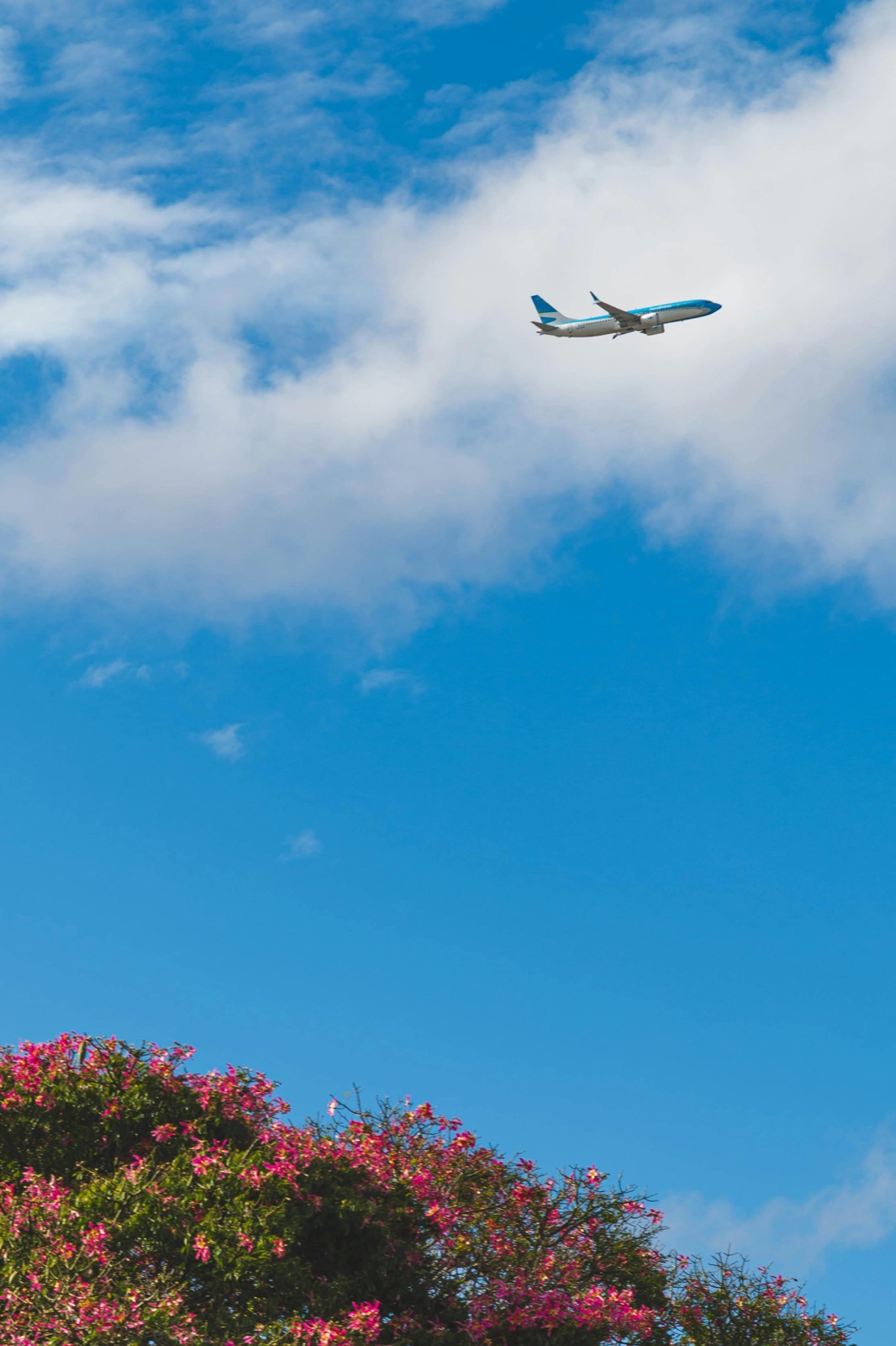 Round trip Ezeiza transfer