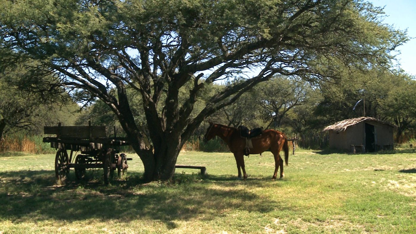Gaucho Pampa Buenos Aires