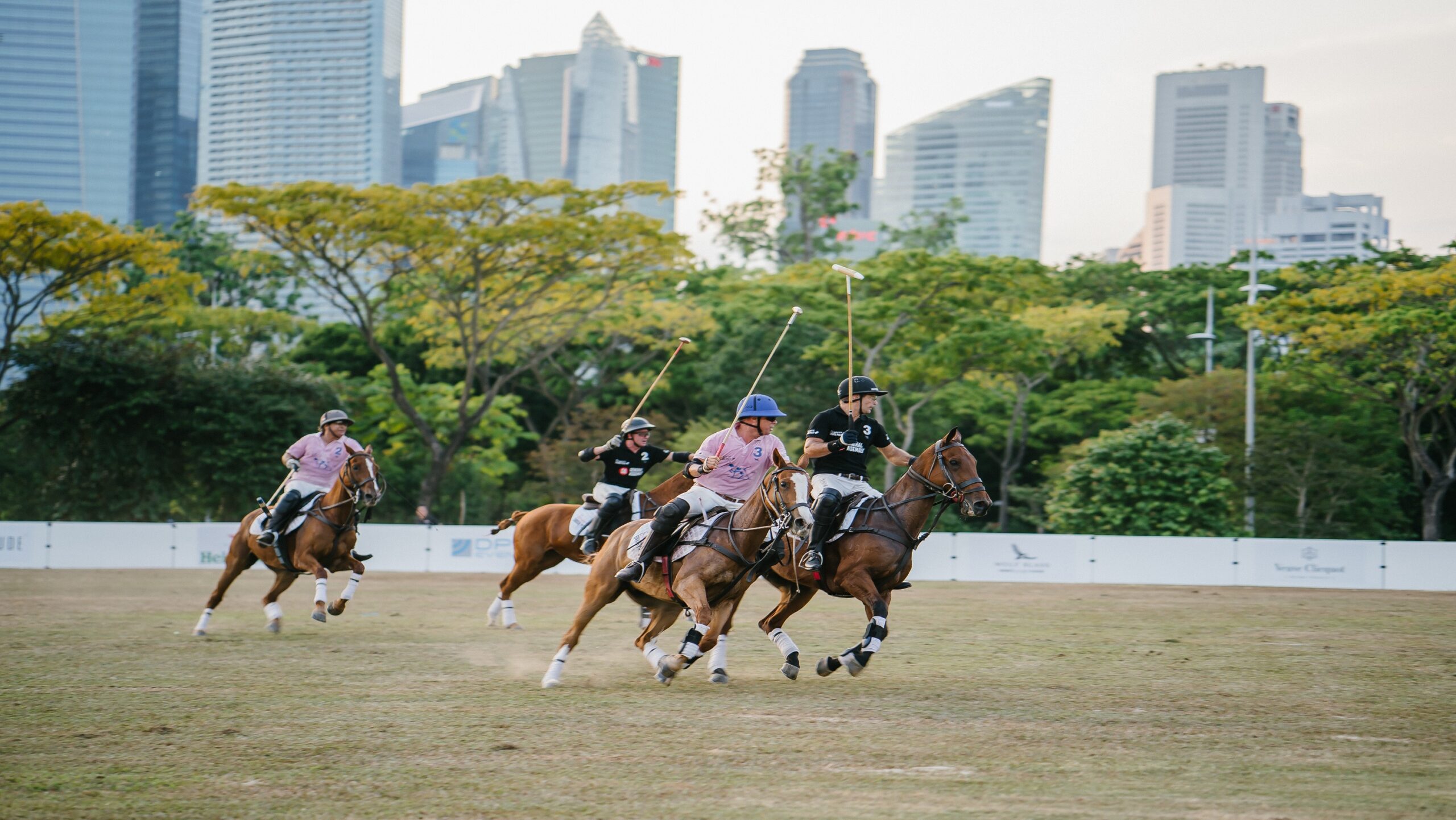 Polo Day