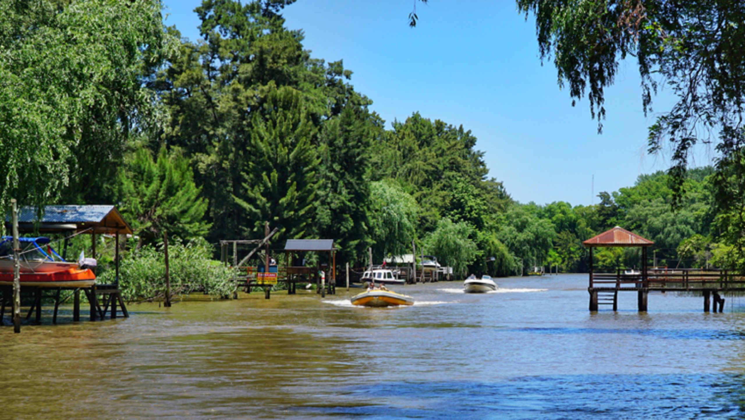 Tigre