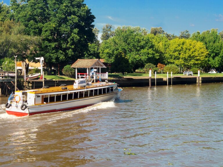 Tigre