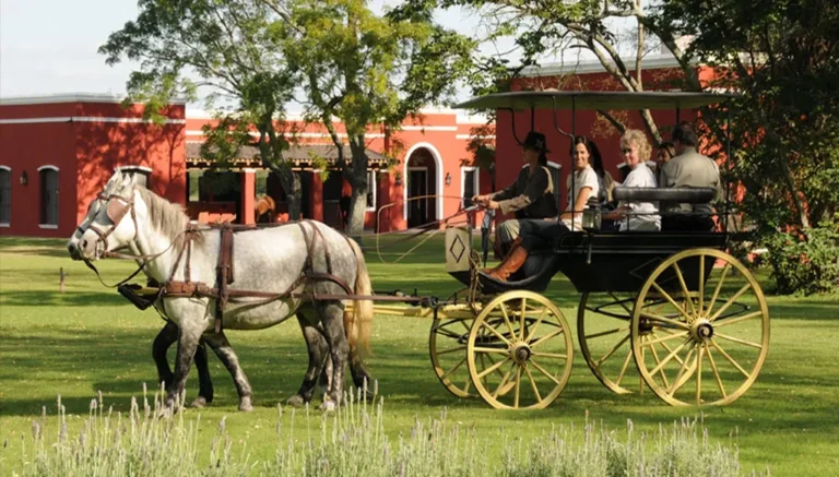 Escapade Dans une Estancia