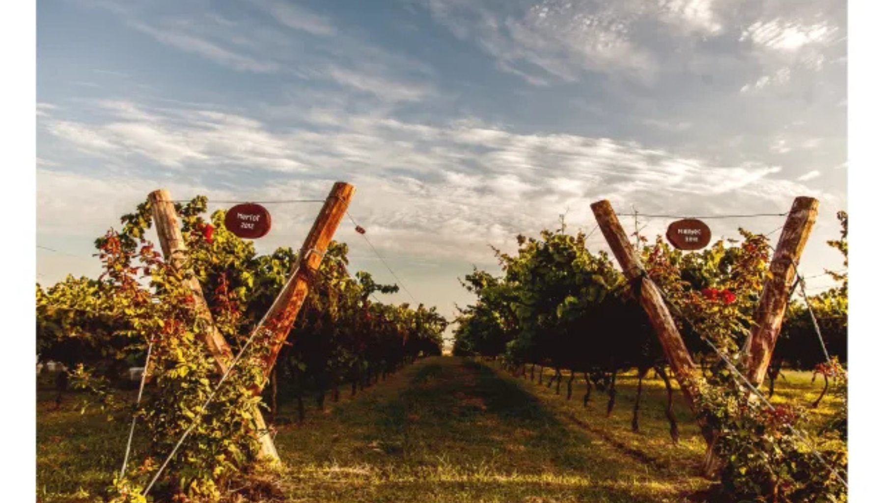 Winery