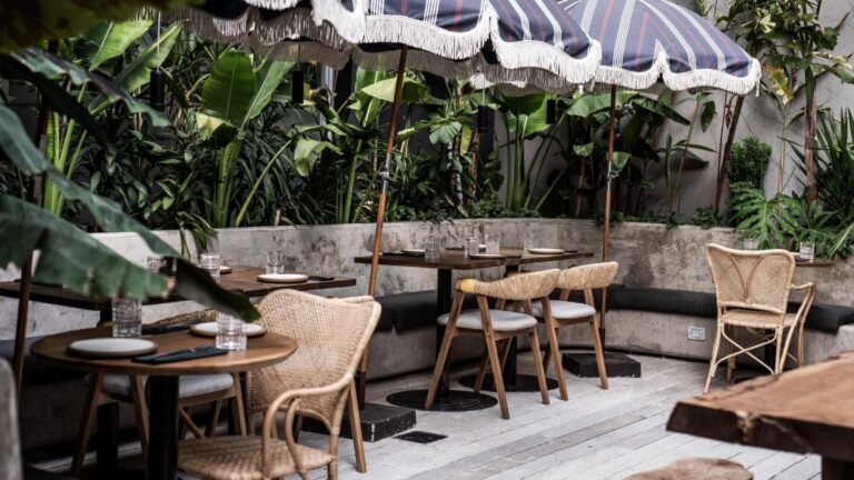 Vegan Delights of Buenos Aires: A Culinary Journey Through Unique Eateries🥑