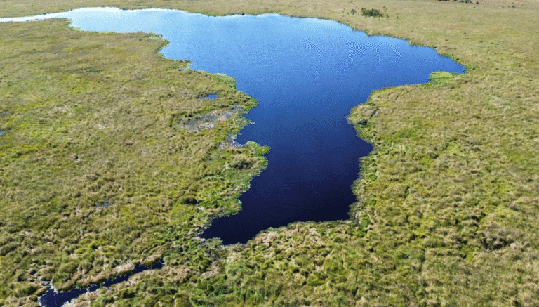 One Ride. One Tree: How Your Trip Helps Reforest Argentina