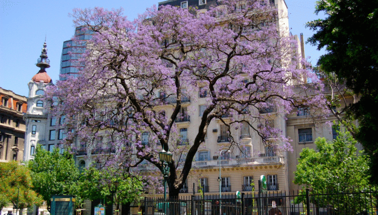 ✈️ Du Québec à Buenos Aires : 5 bonnes raisons de visiter l’Argentine cet hiver