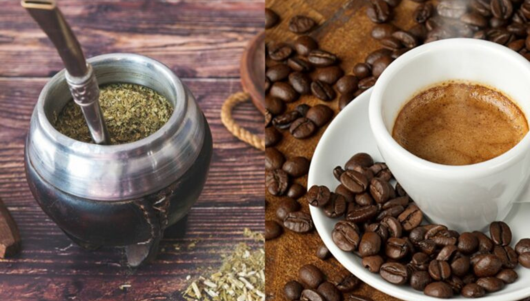 Comparaison culture café et culture maté