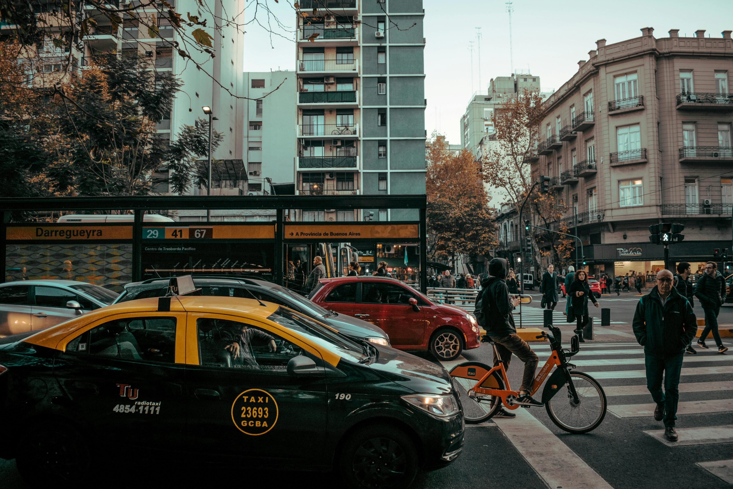 A leafy avenue in Palermo, Buenos Aires