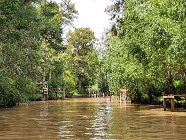 A Day in the Delta of Tigre: Rivers, Islands and Slow Boats