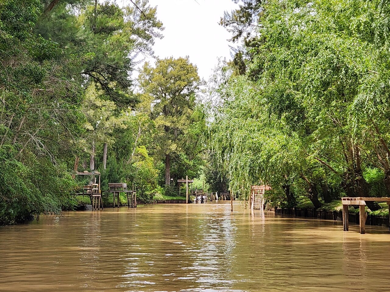 A narrow channel in the Tigre Delta lined with wooden docks and willows