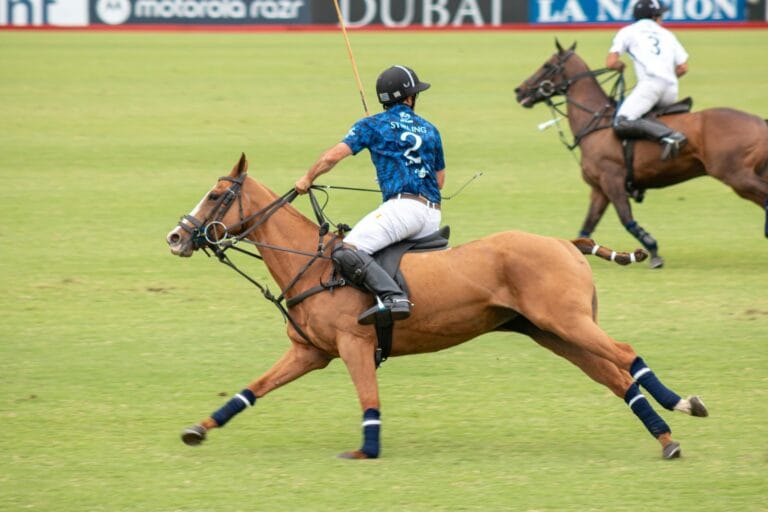 Polo in Buenos Aires: How to See the Triple Crown
