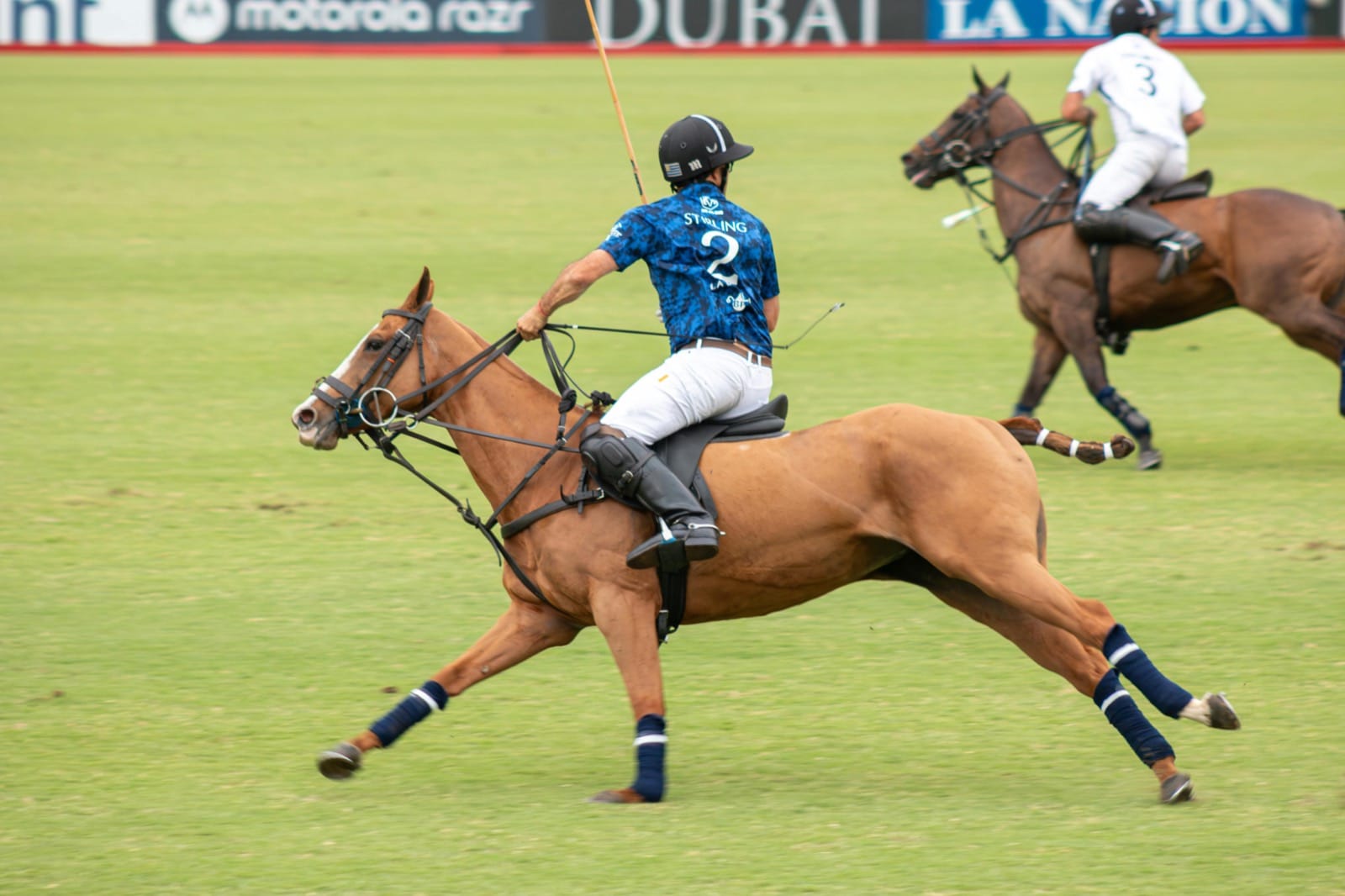 A polo player at full gallop during a match in Argentina