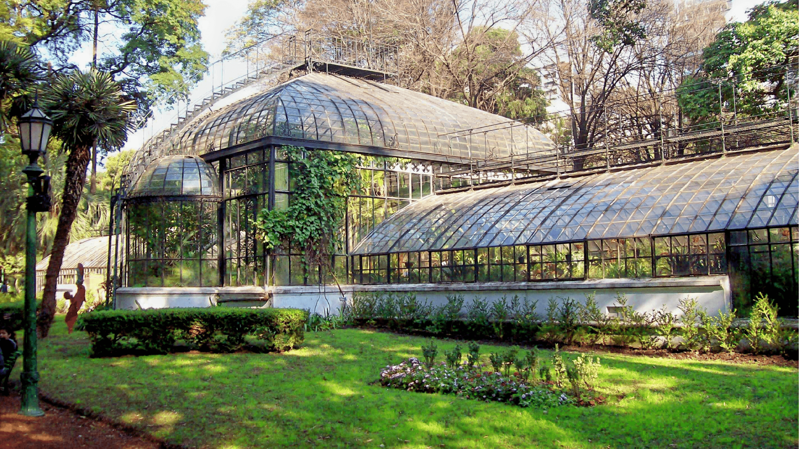 An iron and glass greenhouse behind a lawn and clipped hedges, with palms and tall trees around it